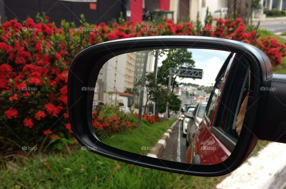 Flowers in rearview mirror