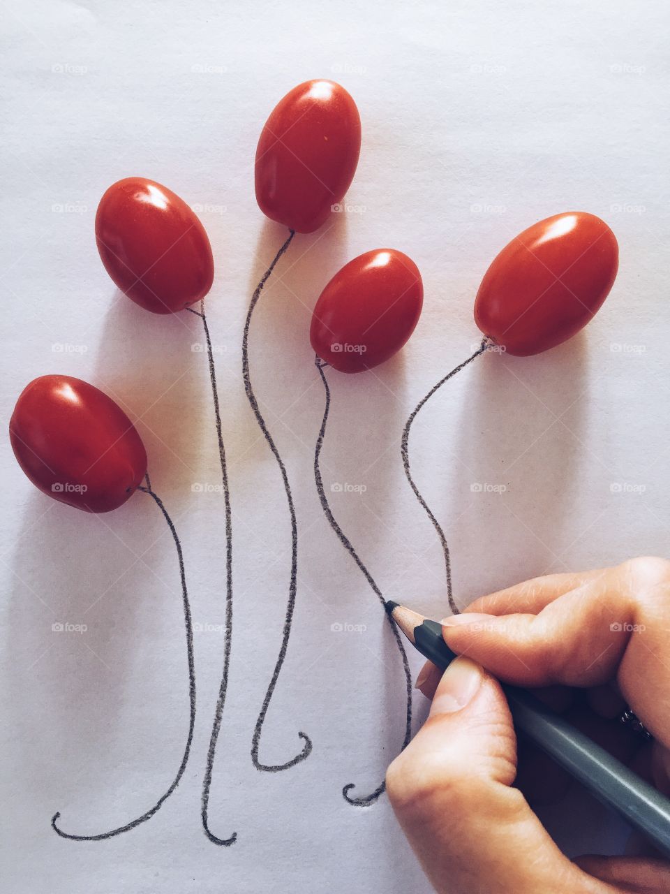 Directly above view of tomatoes with sketch lining