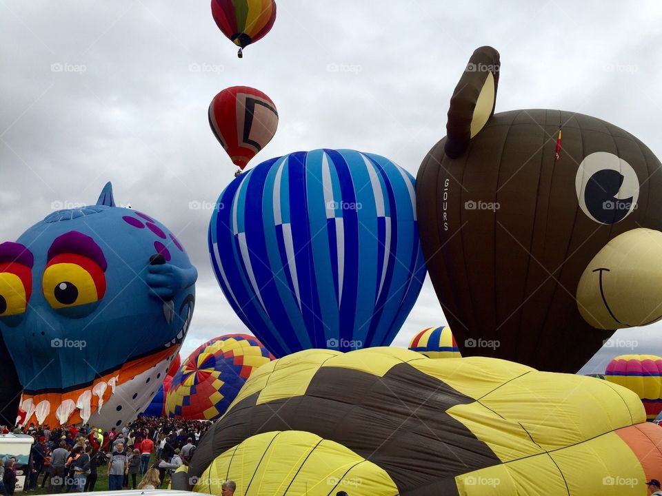 Balloon Fiesta 2015 ABQ. Up in the action, shot of some great colorful balloons!
