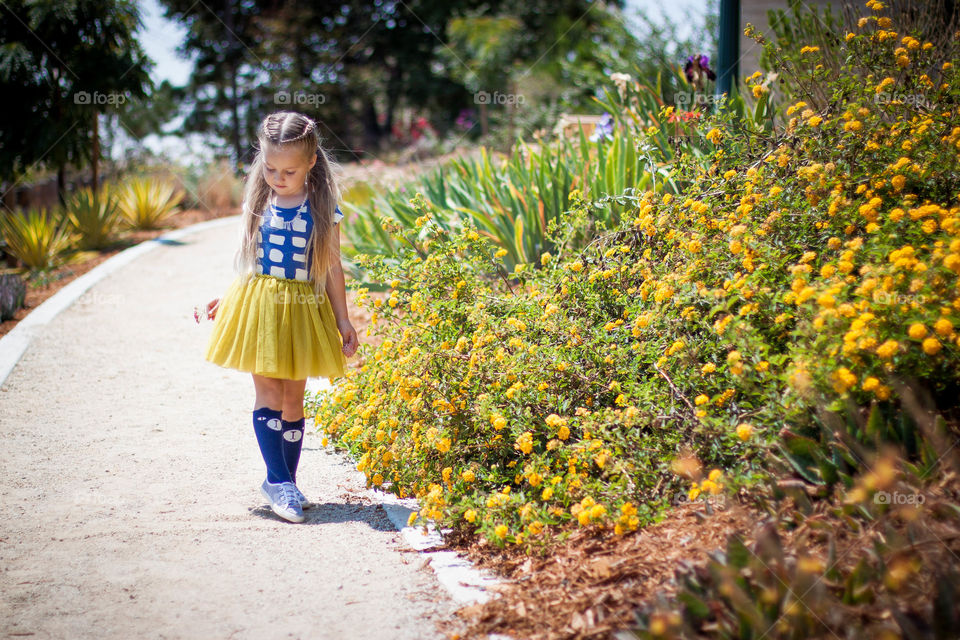 Flower, Nature, Summer, Outdoors, Park