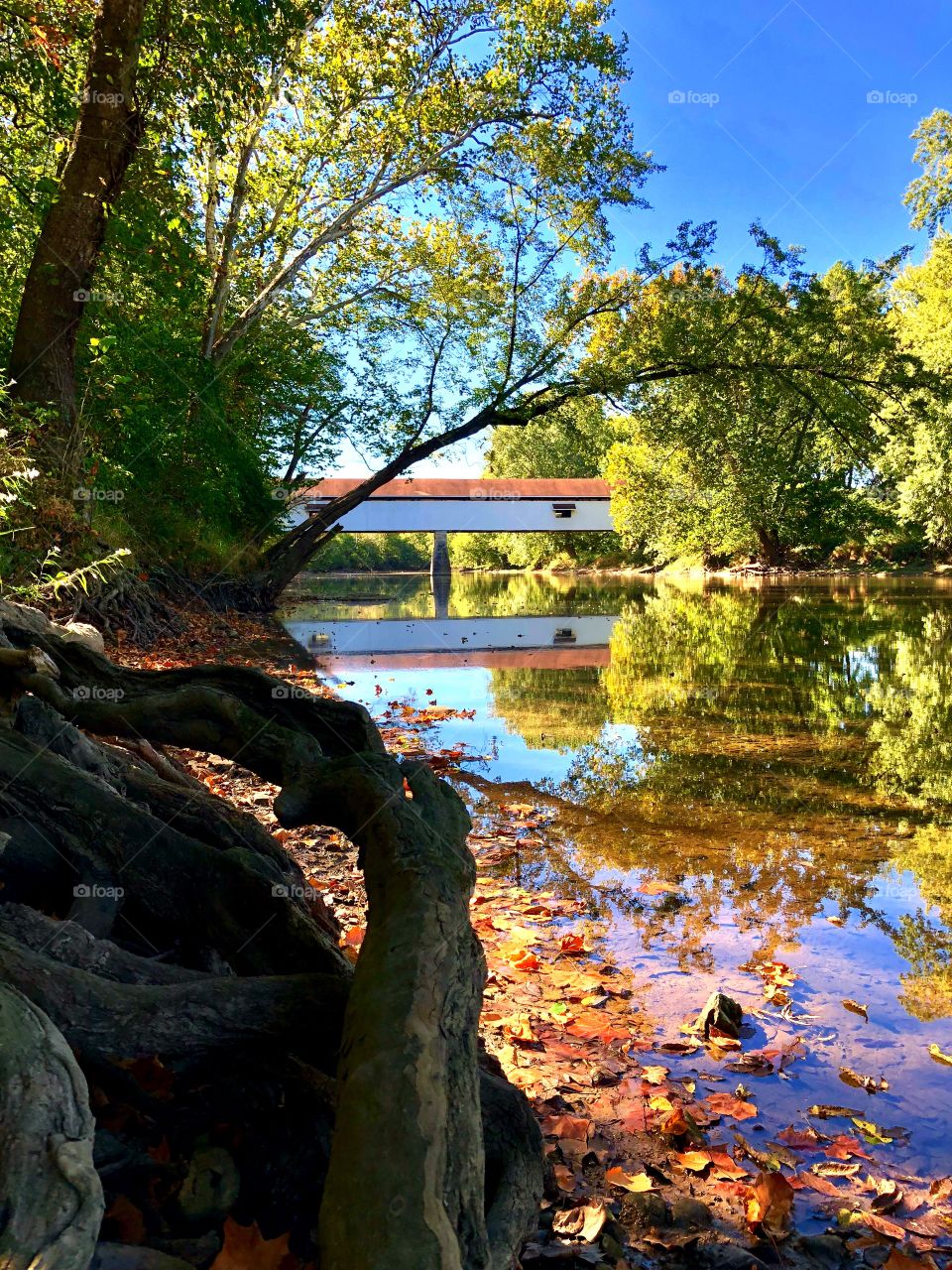 Beautiful covered bridge in Indiana 