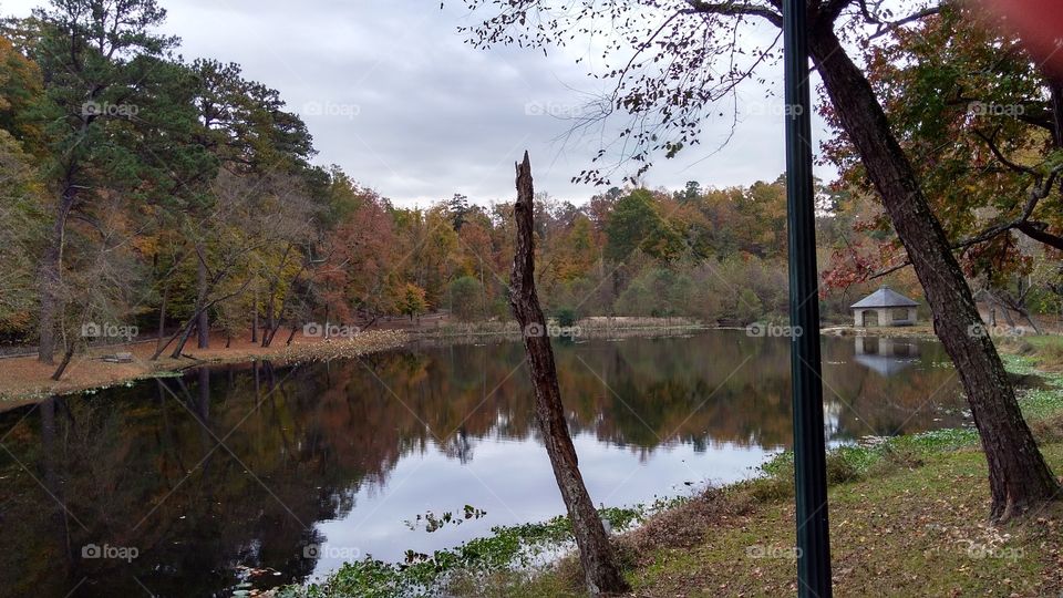 Pond at Forest Hill Park Richmond Virginia
