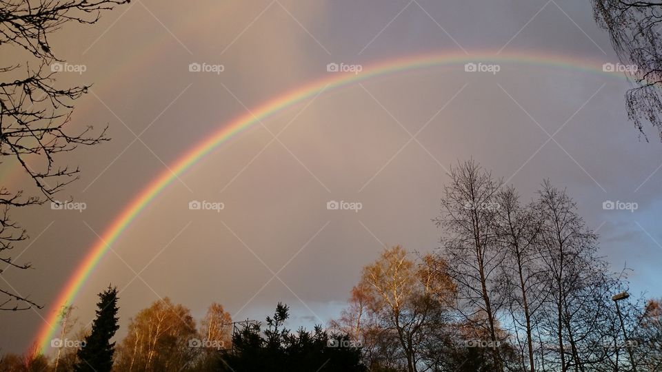 Scenic view of rainbow over trees