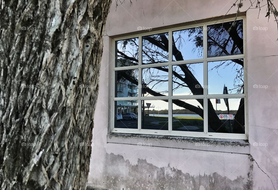 Reflection in window