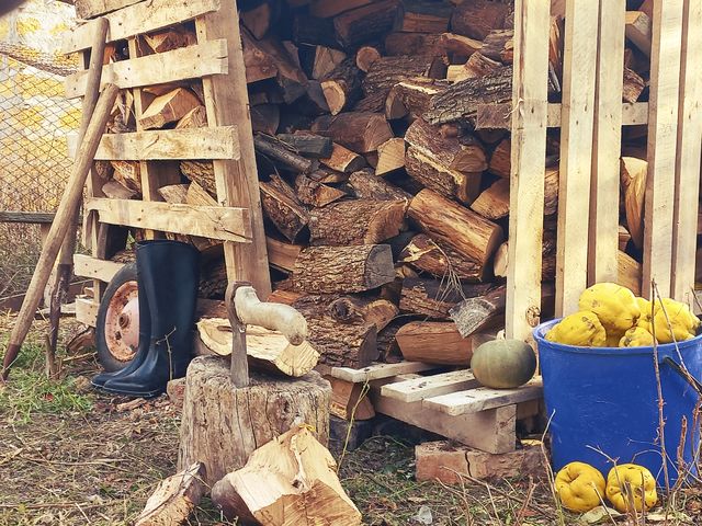 everyday life in the village, preparation for winter, firewood was cut down, the harvest of quince was harvested, and other inverter used on the farm!