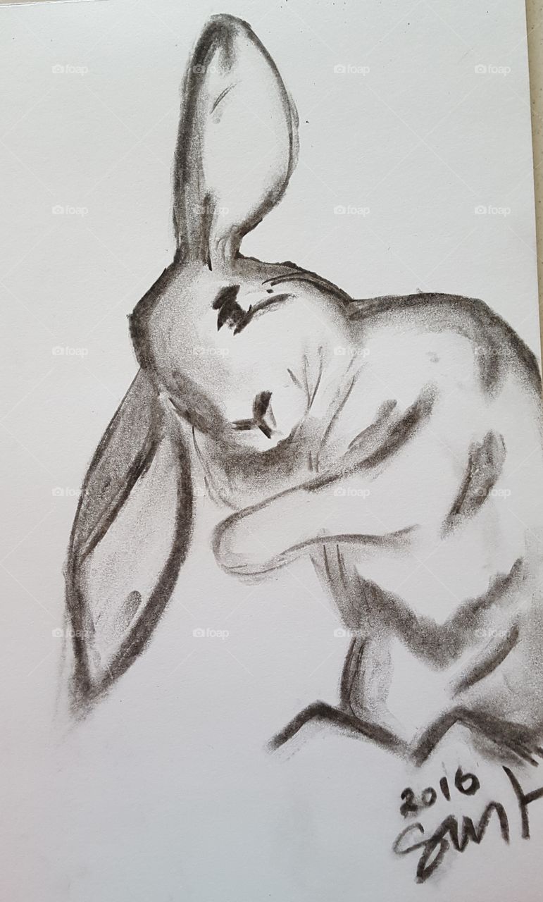 Charcoal rabbit illustration