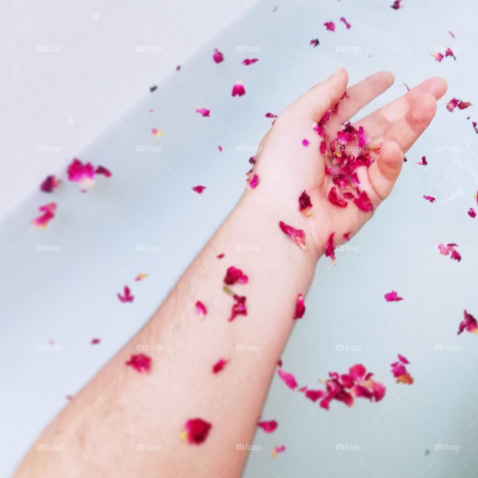 Rose petals in bath water