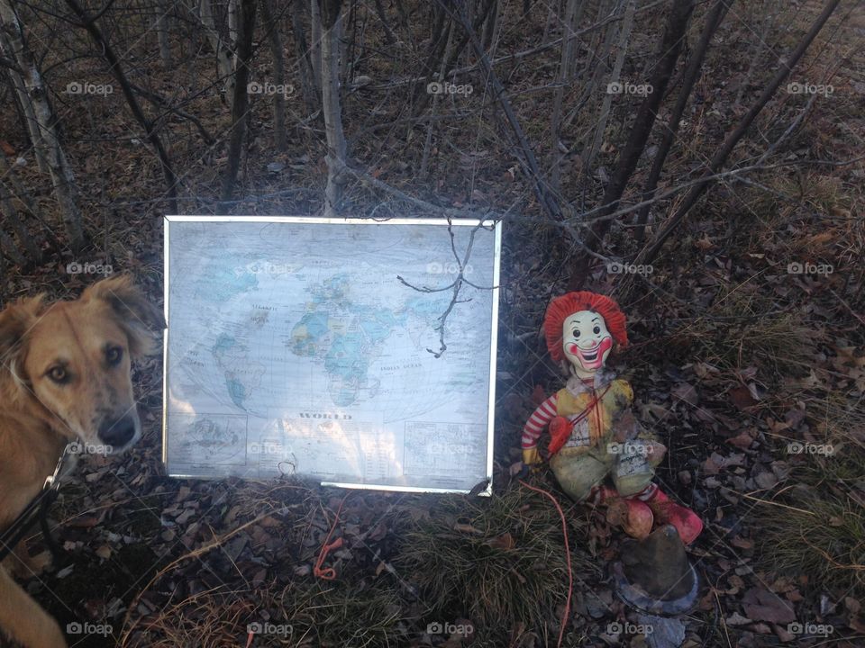 Pompi trying to get to the bottom of all this clown business [.... but really we just encountered these bizarre items while
walking in the woods]