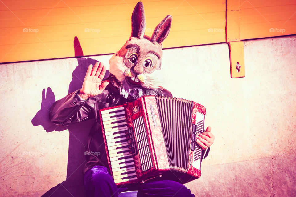 Musician Wearing Bugs Bunny Mask Plays Accordion And Greets
