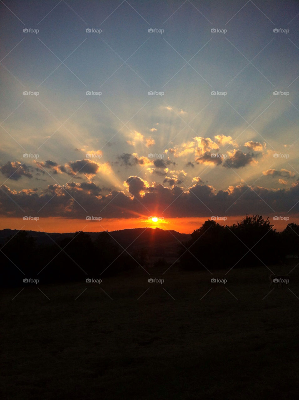 italy nature sunset bologna by derrybirkett