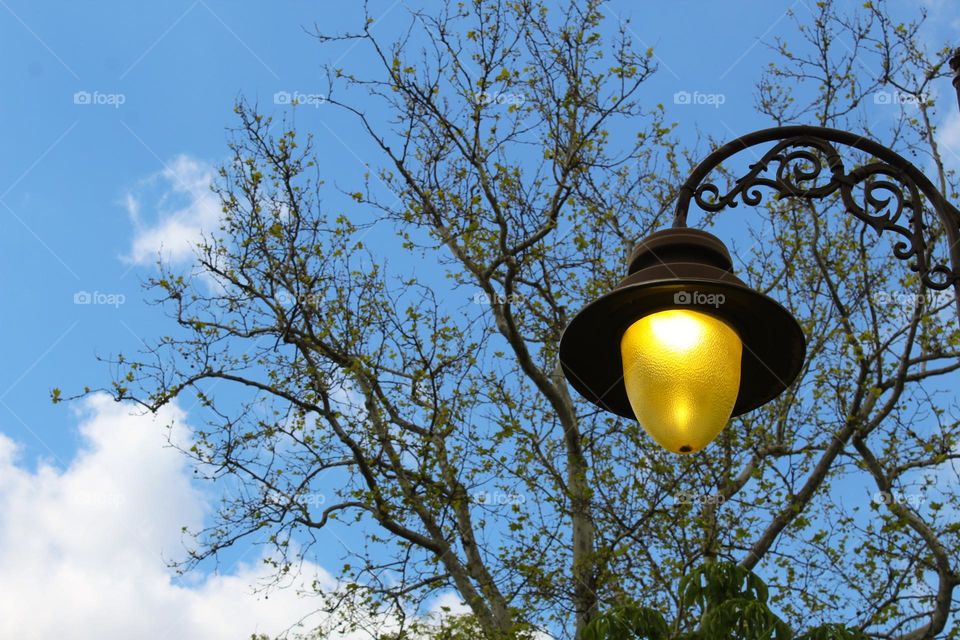 Antique street lamp in a public park.  Treetops and sky in the background.  Springtime