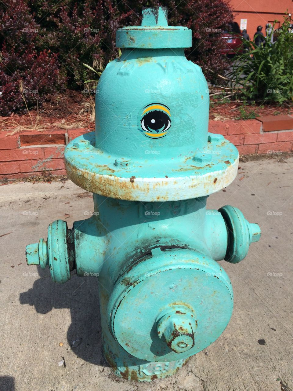 Fire hydrant 