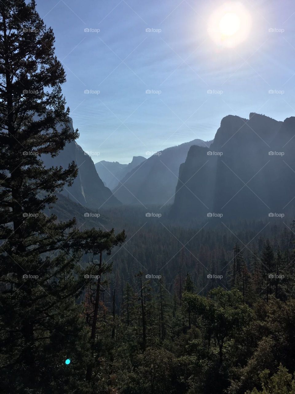 Mountains and forest🖼