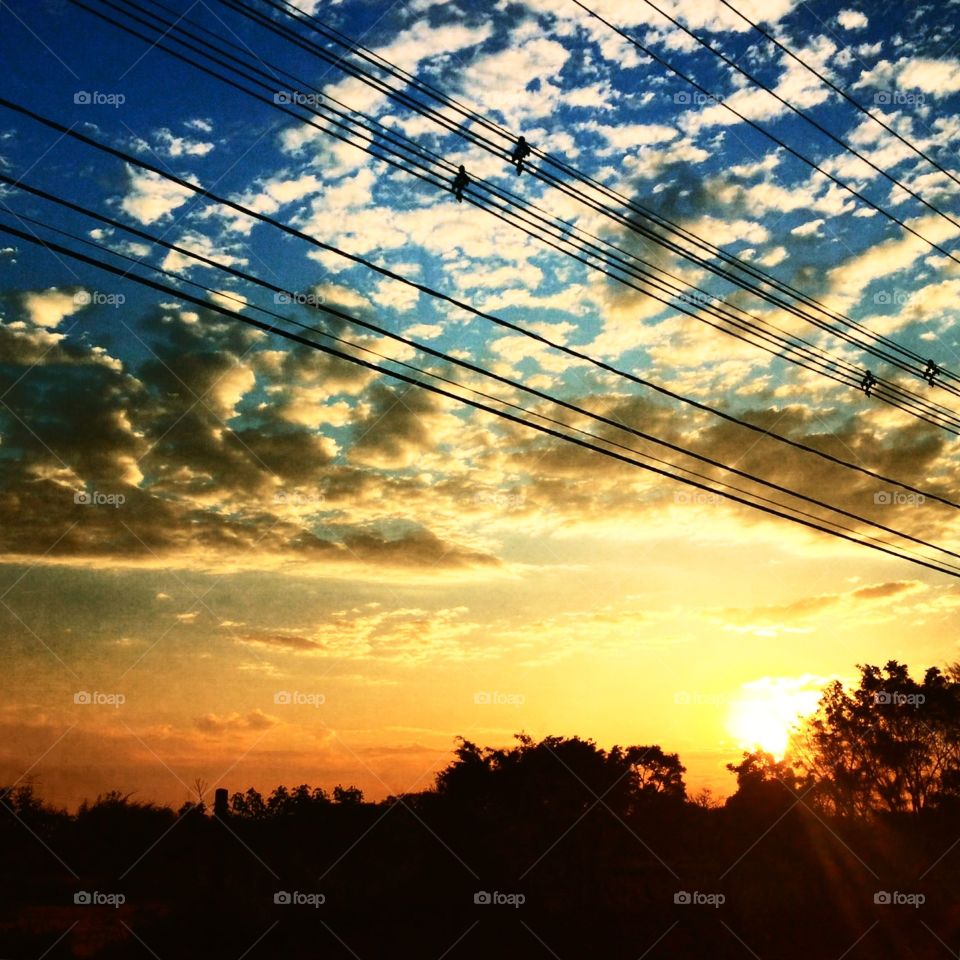 🌅Desperte, Jundiaí.
Que a jornada possa valer a pena! Gostei das cores dessa 5a.
🍃
#sol #sun #sky #céu #photo #nature #morning #alvorada #natureza #fotografia #pictureoftheday #paisagem #inspiração #amanhecer #mobgraphy #mobgrafia #Jundiaí