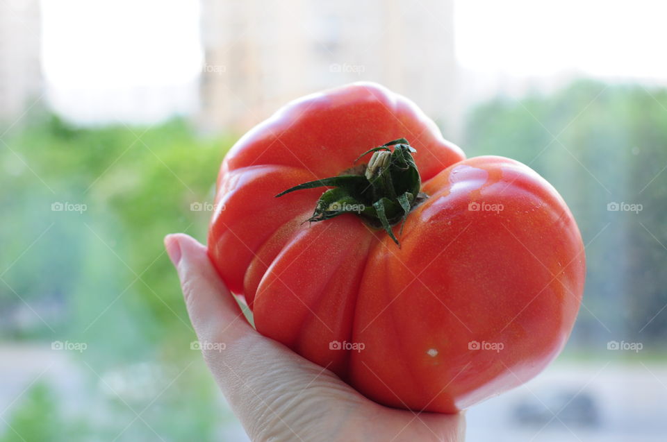 Big tomato 