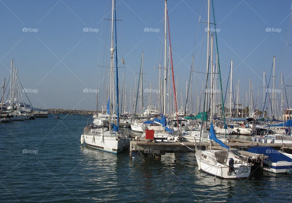 Yachts And Masts