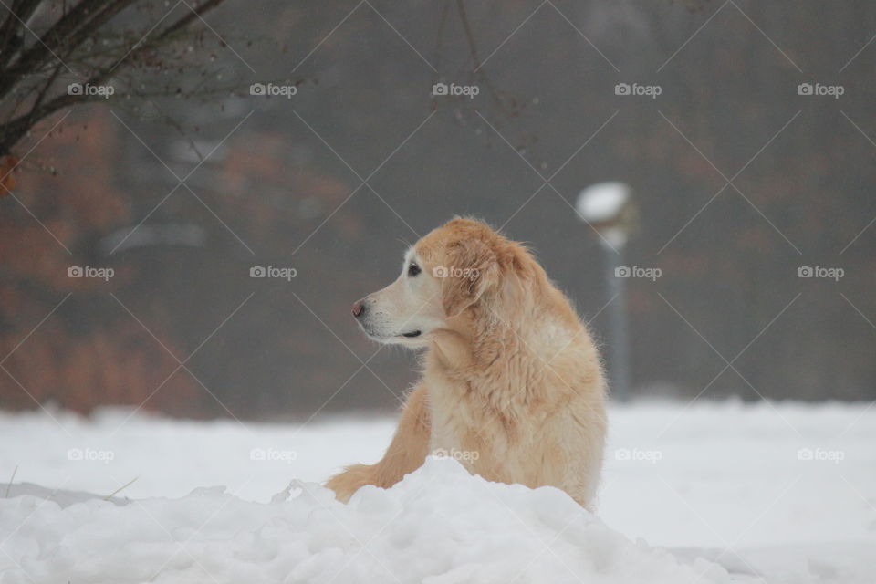 Watching dad snow blow the driveway on a snow winter day