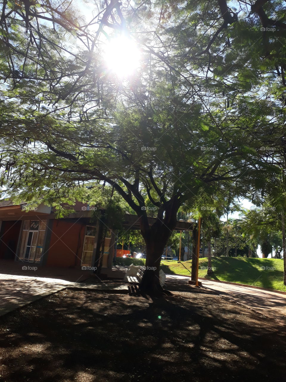 Praça Brasília, Cafelândia Paraná Brasil