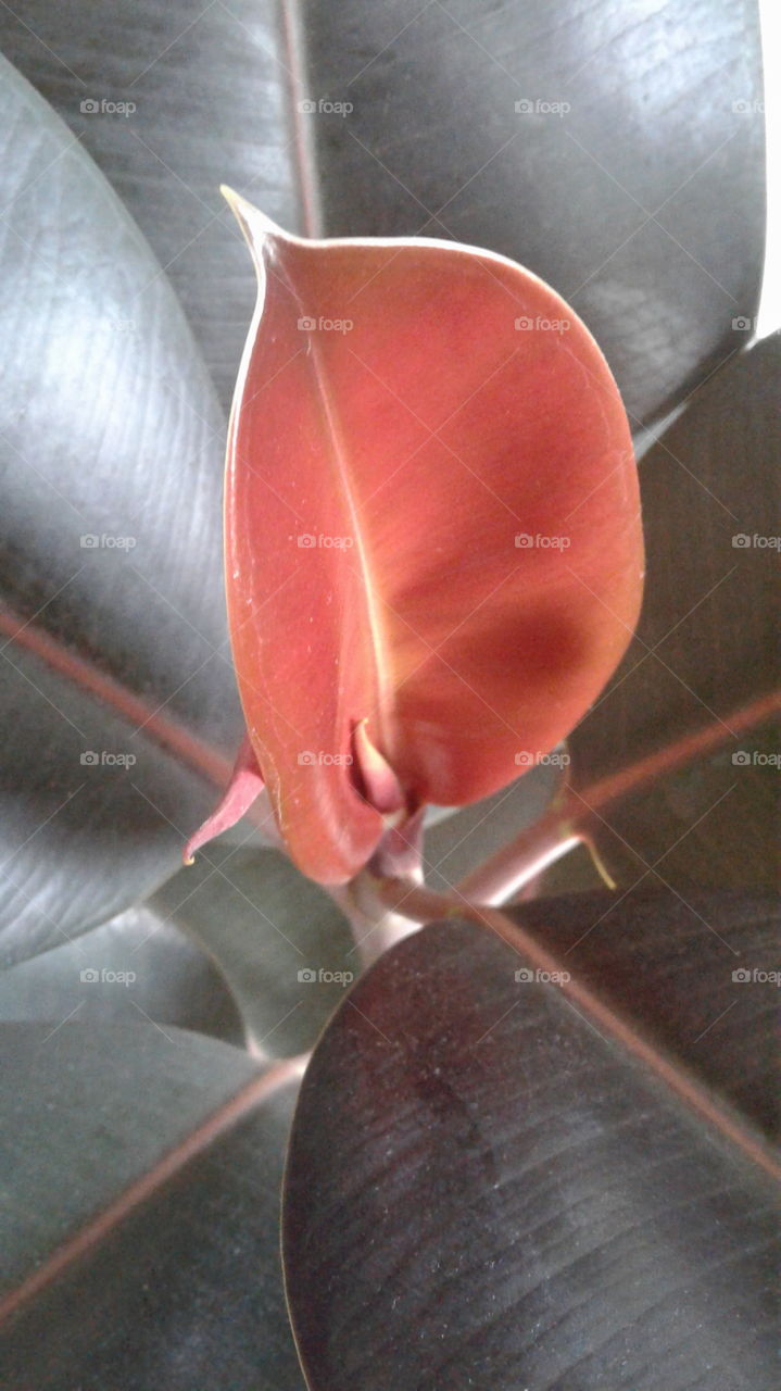 Textures of the world