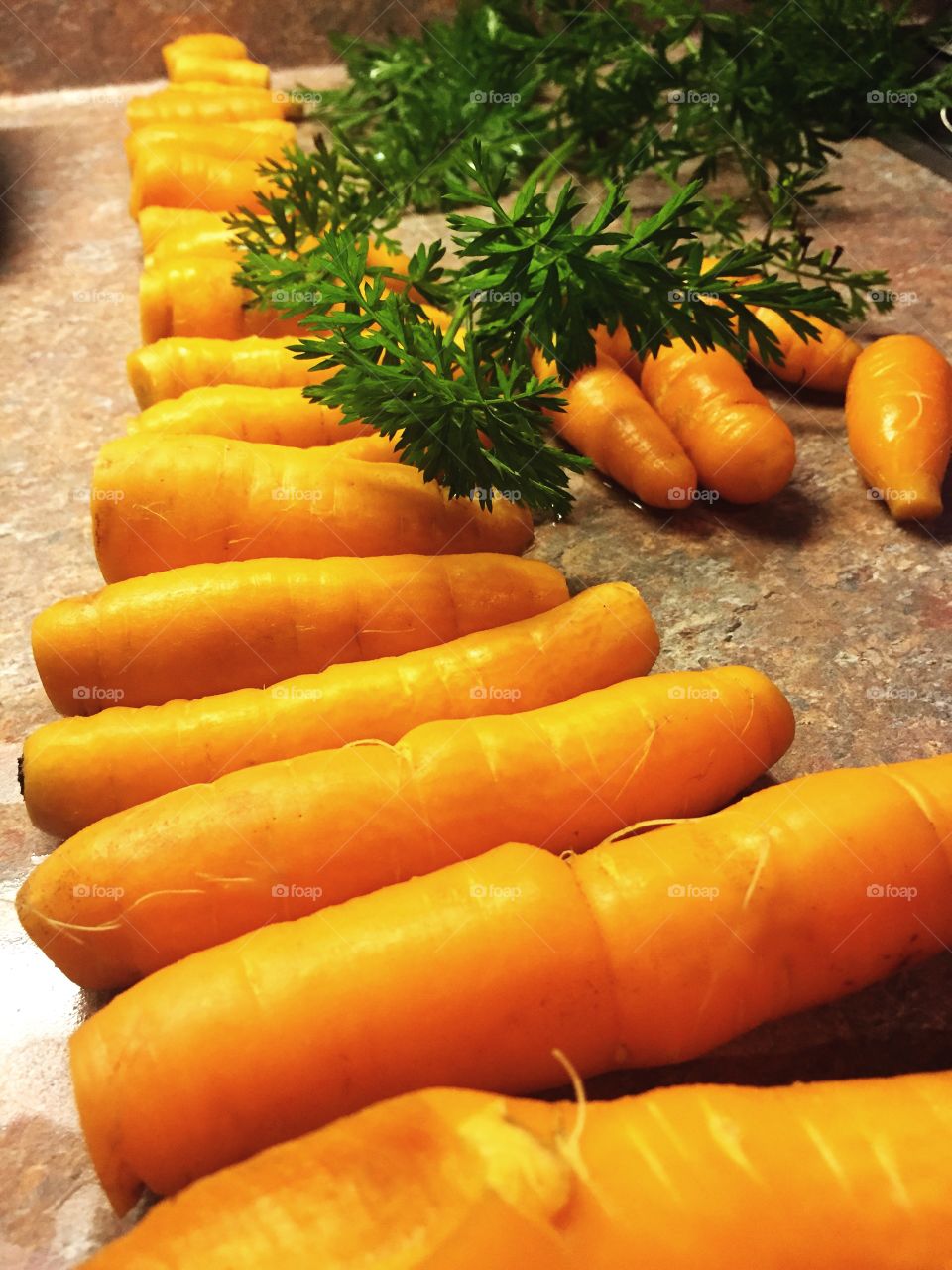 Freshly picked carrots 