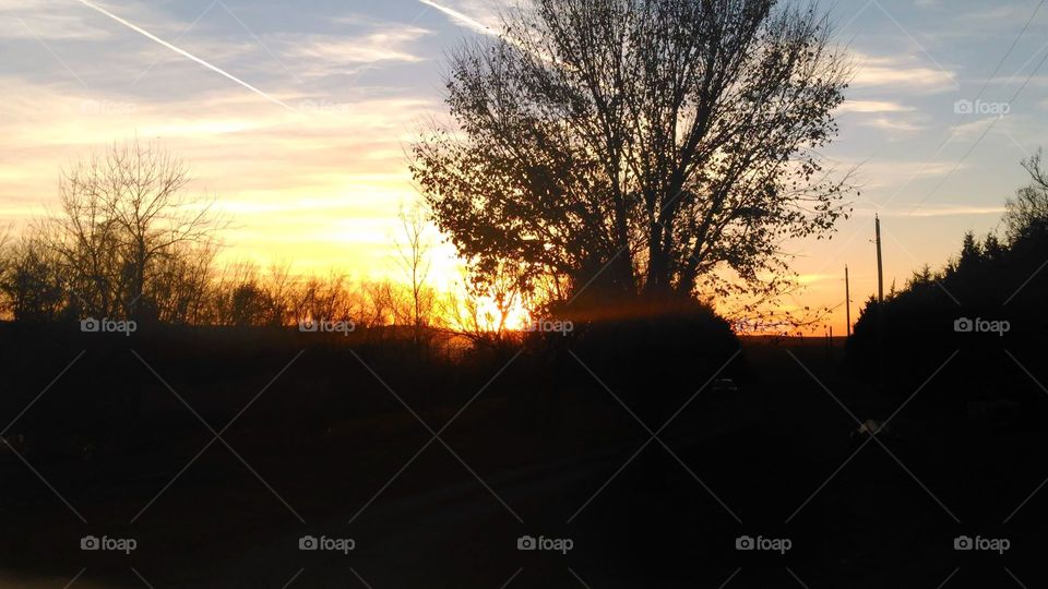 Sun setting behind a tall, dark, tree silhouette. The bright sun is like fire, color streaking across the sky.