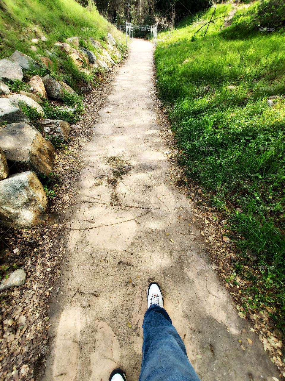 footsteps on a hiking trail in nature