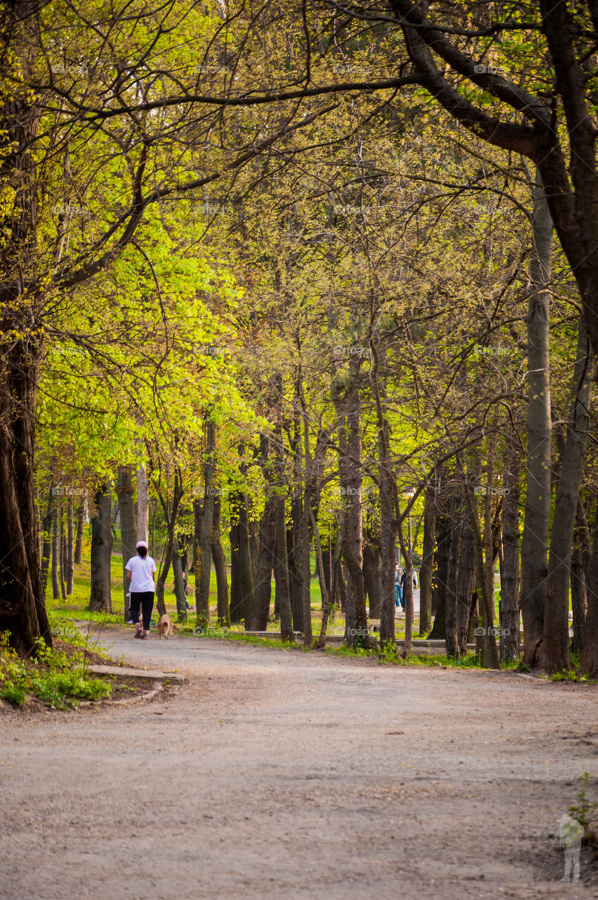 Running in the park