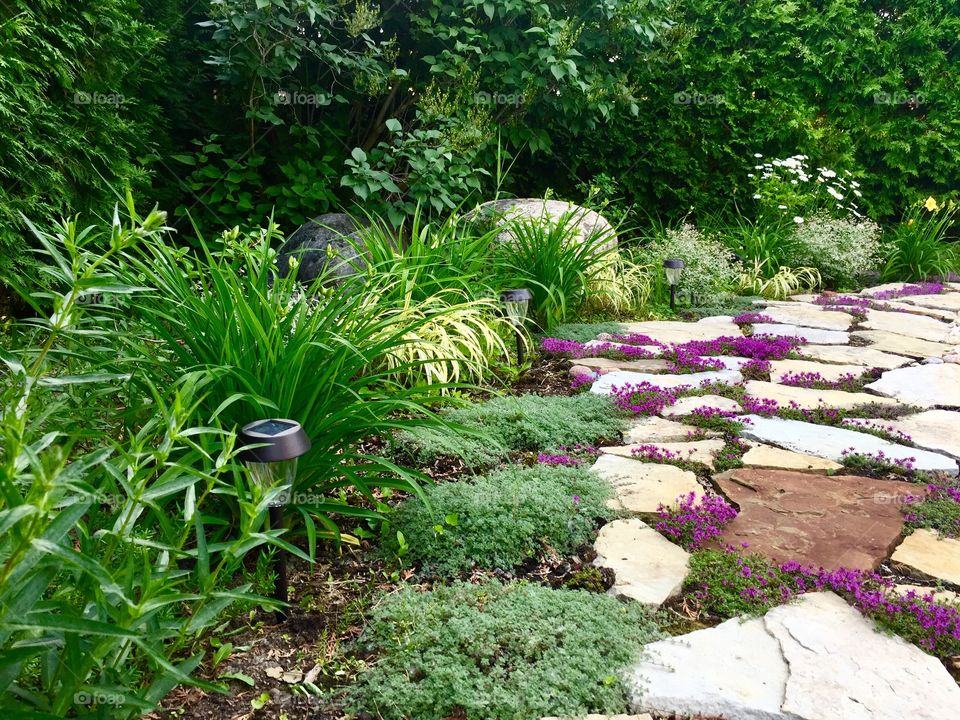 Landscaping with garden lights, flag stones and purple thym flowers. Exterieur design.