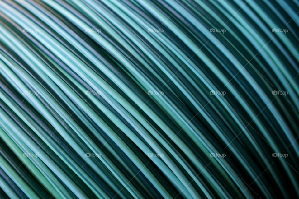 Green wire