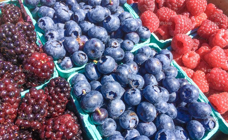 Marionberries, blueberries  and raspberries.  