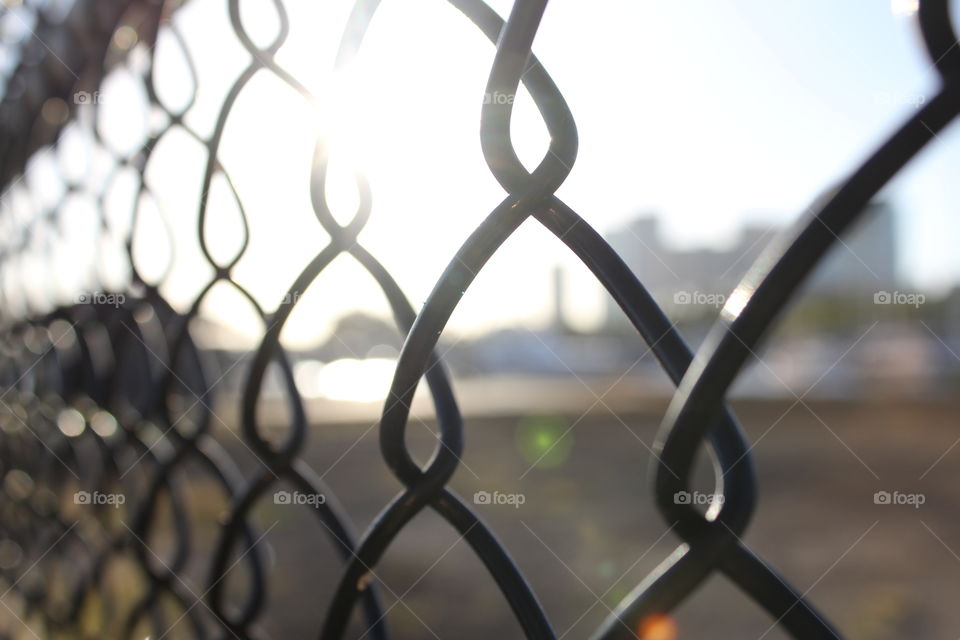 Chain Link