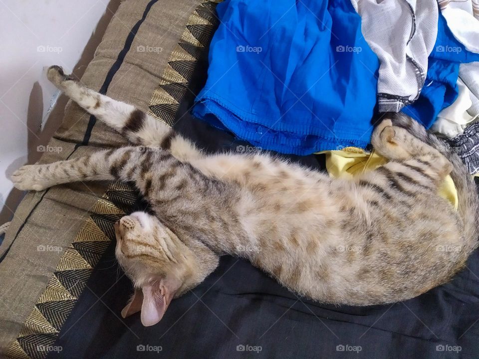 weird sleeping style for us but for them is peace.