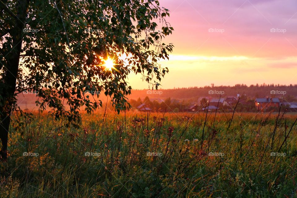 Countryside at sunset