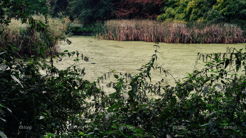 In a park in Antwerp