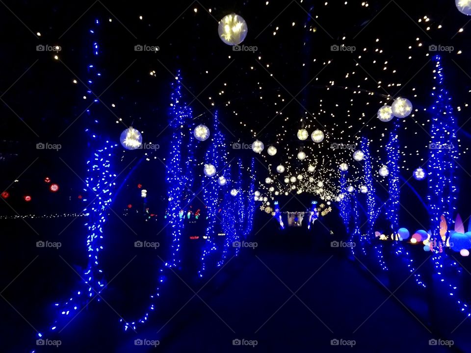 Christmas Light Walkway