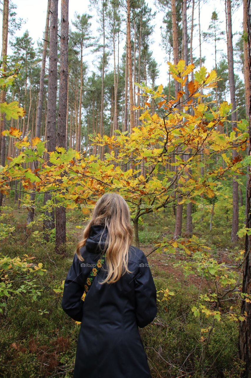 Rear view of a woman hiking in autumn forest 