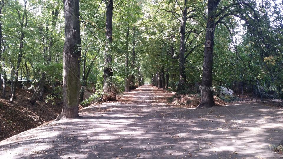City path, in Głubczyce