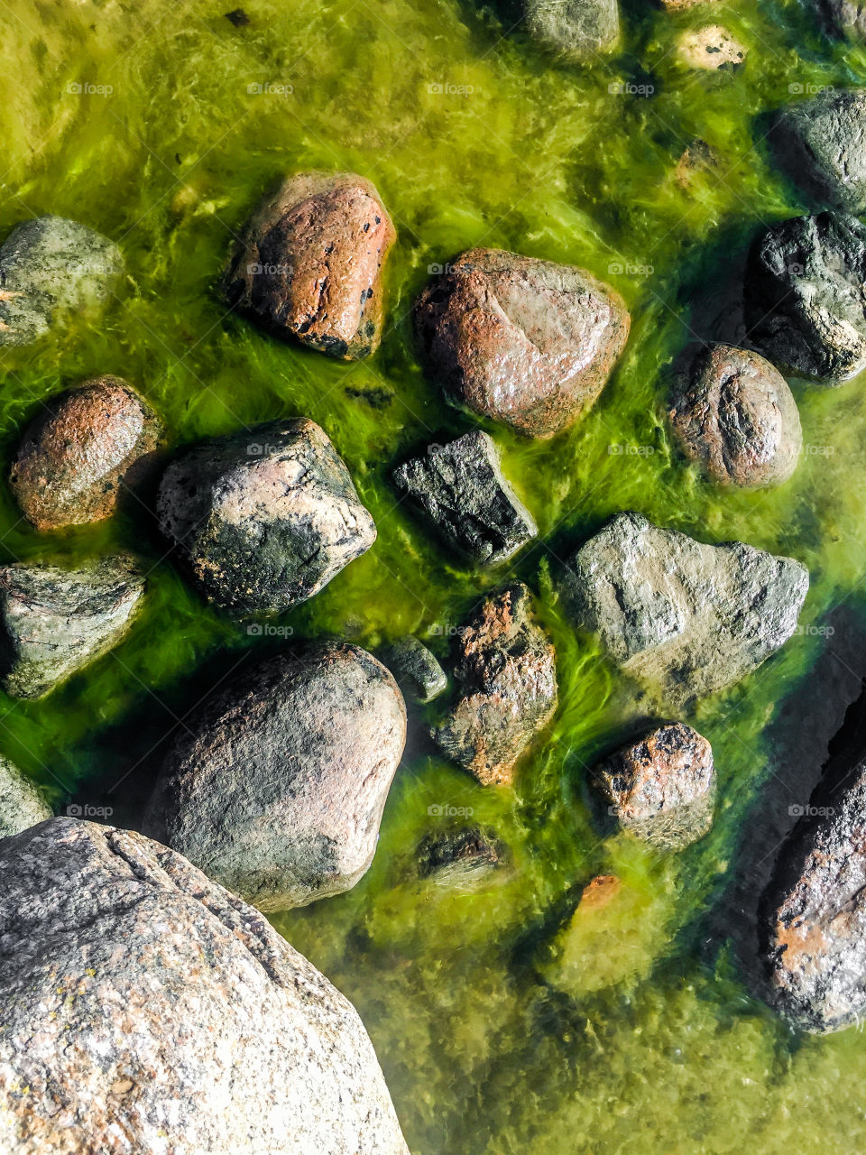 Rocks at the Seaweeds