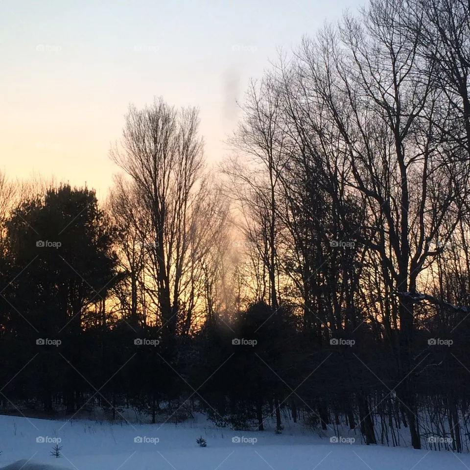 Morning