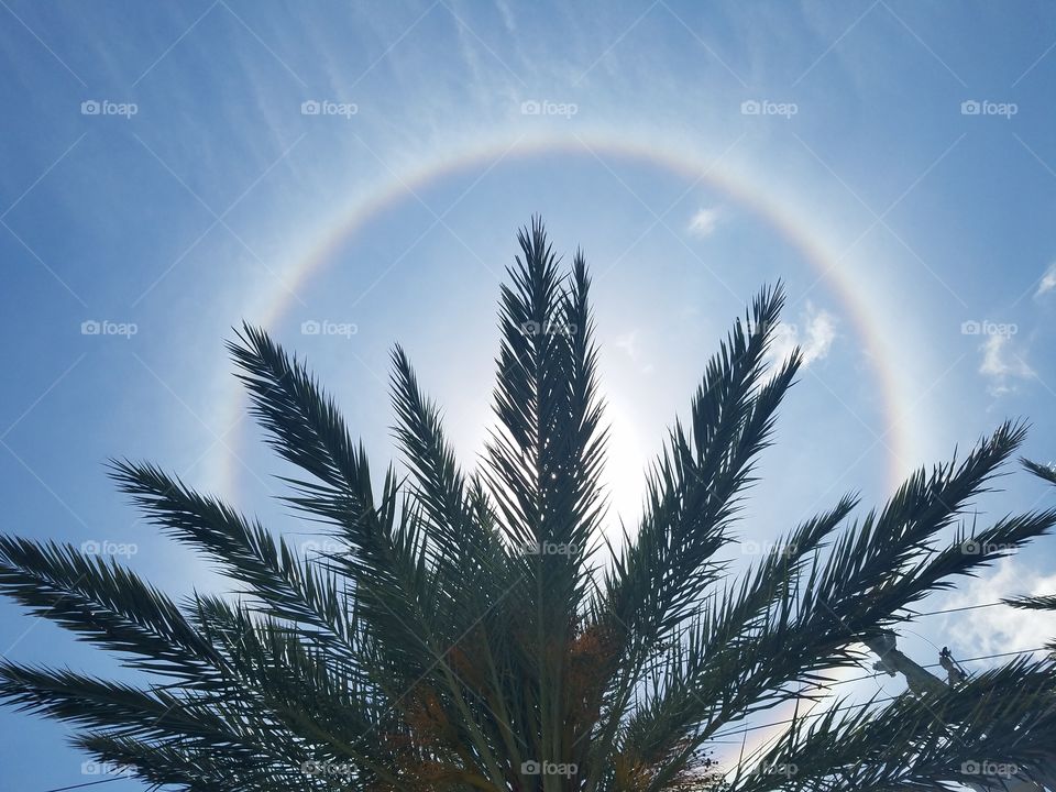 Rainbow around the sun