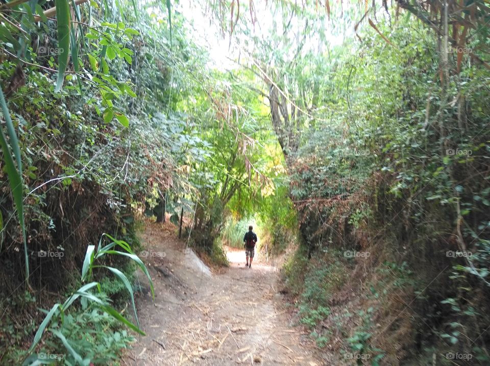 Wandern, Tunnel, Walk, Green, einsam