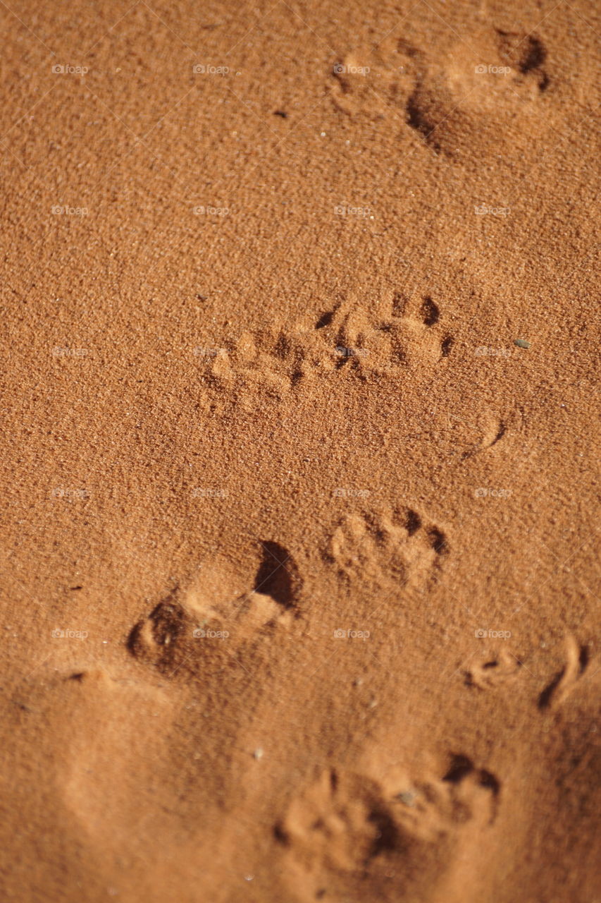 Footprints 