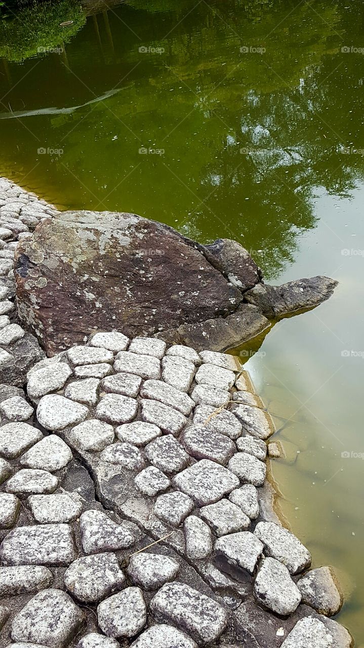 Stein Schildkröte am Wasser