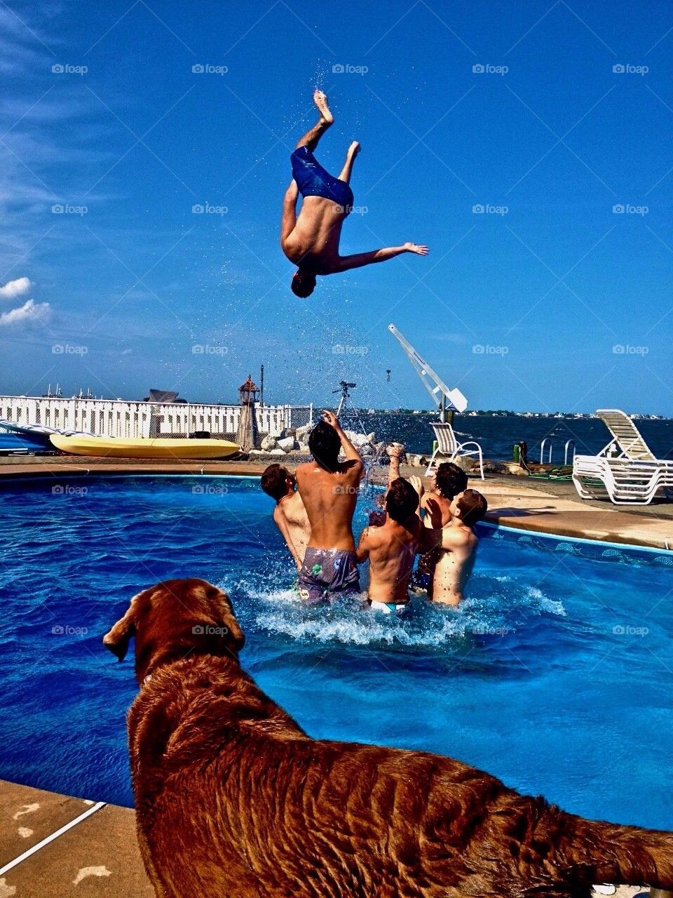 Backflip