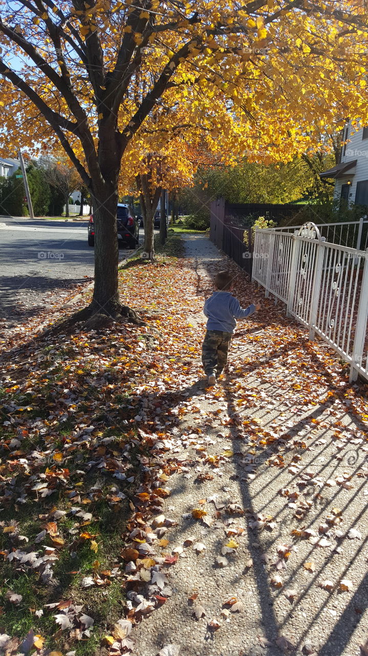 Running Through Leaves