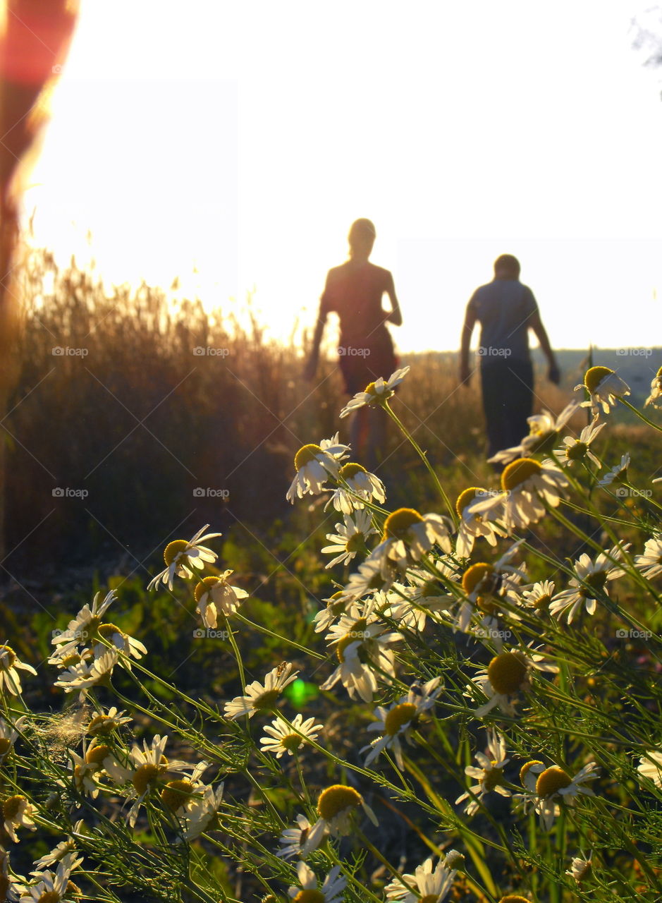 Two people walking in field