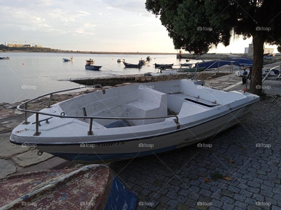 fishing port in Porto Portugal