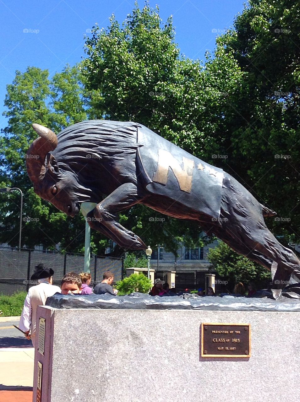 Bill the Goat. A statue of The US Naval Academy mascot.