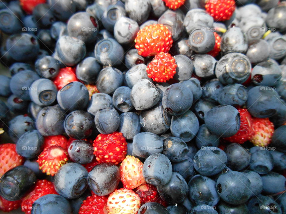 blueberries and wild strawberries texture background