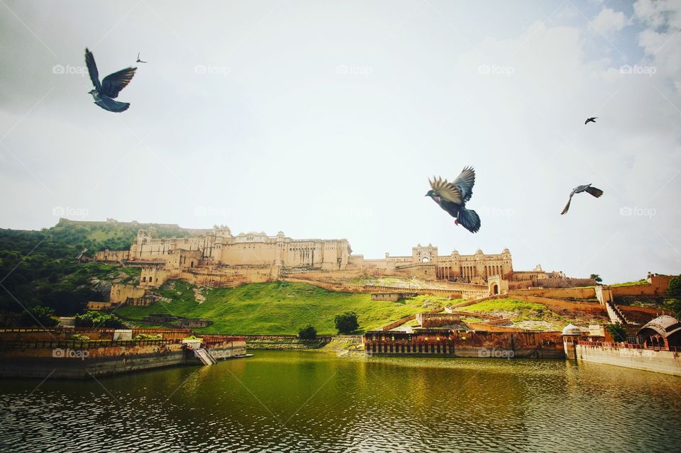 Vehicle, Water, Sky, Travel, Airplane